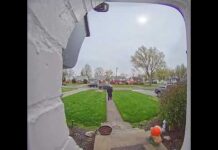 Euclid, OH: Help Needed to Identify “Packageburg Stealer”